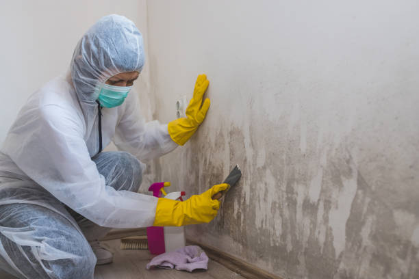 Best Residential Mold Removal  in Marietta, OK